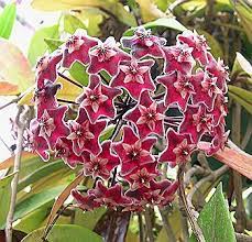 Pin On Home Decor Outdoor Living