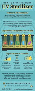 How Will A Uv Sterilizer Benefit My Home Aquarium