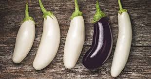 Involtini is an italian word for various small bites of food consisting of some sort of outer layer wrapped around a filling. 9 Of The Best White Eggplant Varieties Gardener S Path