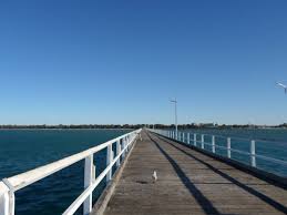 In peak season boats by the fleet full head out each day to watch them swimming and breaching and having a whale of a time. 10 Things To Do In Hervey Bay Queensland