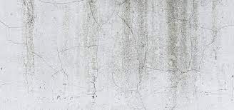 Entspricht die verputzen decke der wolle qualitätsstufe, die ich als kunde in dieser preisklasse. Decke Verputzen Schritt Fur Schritt Anleitung Und Haufige Fehler Utopia De