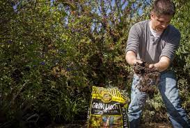 Kellogg Garden Organics Gromulch 2 In 1 Planting Mix Mulch Garden Shrubs Shrubs Garden