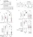 Frontiers | Humoral and cellular responses to repeated COVID-19 ...