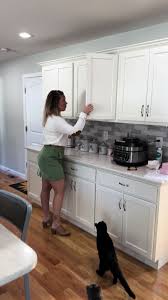 Fostering Kittens: How Many Cats Are Too Many?