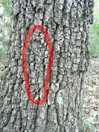 We did not find results for: 68 Jawaban Teka Teki Gambar Hewan Hd Terbaik Gambar Hewan