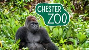 Chester Zoo Placement Opportunities Apply Now Sac Student Engagement Employability