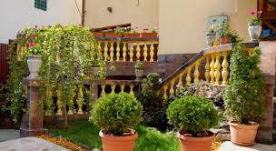 Platinia shopping center radu catinas noul pol de atrac. Pensiunea Mellis Cluj Napoca Mellis Adresa Si Telefon Cazare