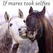 Pin On When The Day Has Been Awful