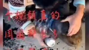 女性を縛って集団リンチ」中国で撮影された動画が大問題に | 顔には墨汁がかけられ…… | クーリエ・ジャポン