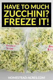 How to freeze zucchini and summer squash without blanching. How To Freeze Zucchini With Or Without Blanching Homestead Acres