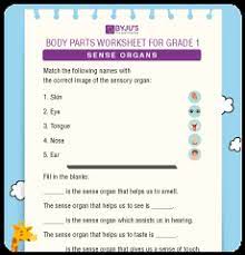Cbse evs class test worksheet for class 3 is prepared for the benefit of students by the expert teachers who have more than 20 years of experience in this field based on cbse syllabus and books issued by ncert. Engaging Evs Worksheets For Kids Download Free Printables Inside