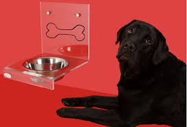 One dog put into the same situation as another might never exhibit guarding his. Exercises For Preventing Resource Guarding In Puppies Pethelpful By Fellow Animal Lovers And Experts