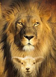 Rise And Rise Again Until Lambs Become Lions Meaning Rise And Rise Again Until Lambs Become Lions Google Zoeken Leao E Cordeiro Producao De Arte Leao De Judah