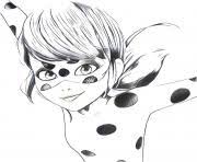 This miraculous ladybug coloring page features cat noir aka adrien agreste in action. Miraculous Ladybug Coloring Pages To Print Miraculous Ladybug Printable