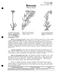 In fact, the plant infesting pastures during the late winter and early spring is commonly known as butterweed or cressleaf groundsel (packera glabella, formerly known as senecio glabellus). Butterweeds