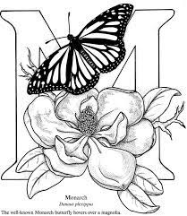 Welcome To Dover Publications Butterfly Coloring Page Coloring Pages Coloring Books