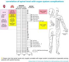 Image result for Spinal Shock