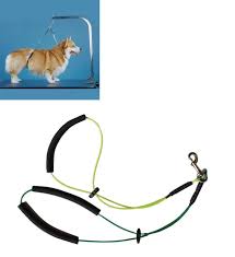 Grooming Tables 146241 Pet No Sit Haunch Holder Dog Grooming Restraint Loop Arm Small Medium Buy It Now Only 19 05 On Eba Dog Restraint Dog Grooming Pets