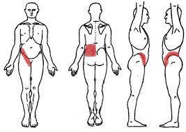 Pin On Fibromy Ology