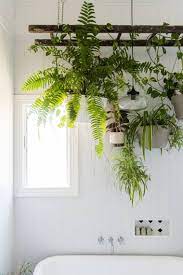 Check spelling or type a new query. These Are Our Favorite Plant Display Ideas Of All Time From Plant Walls Plant Shelves Hanging Plant Hanging Plants Indoor Plant Display Ideas Hanging Plants