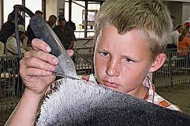 63rd annual Beef Expo held