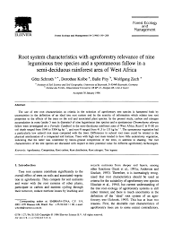 Image result for Ateleia herbert-smithii