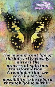 We did not find results for: Butterfly Meaning The Symbolism Will Surprise You