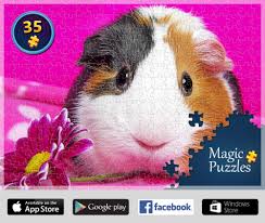 Play magic jigsaw puzzles 2021: I Ve Just Solved This Puzzle In The Magic Jigsaw Puzzles App For Ipad Try It Too Magic Jigsaw Puzzles Magic Puzzles Puzzles