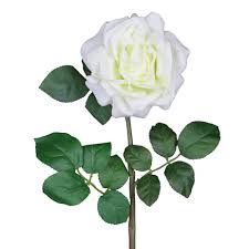 Mawar merah mewakili kasih sayang dan kesetiaan, dan putih mawar kesucian, kebenaran dan keheningan. Bunga Kain Sutra Gagang Mawar Putih 27 Inci Tengah Meja Pernikahan Inggris Mawar Bunga Mawar Buy Buatan Rose Sutra Bunga Mawar Pernikahan Centerpieces Product On Alibaba Com