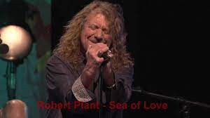 Robert Plant Sea Of Love Youtube Robert Plant Robert Plant Led Zeppelin Robert