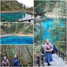 Image result for Dark Forest Green 1992 Fleet