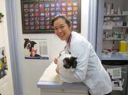 Giving Subcutaneous Fluids To Your Cat