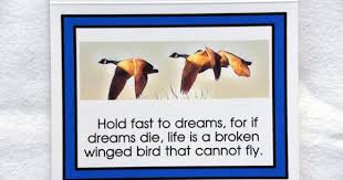 Birds That Cannot Fly Images Drawings Of Flying Waterfowl Notecards Note Cards Waterfowl Birds That Cannot Fly