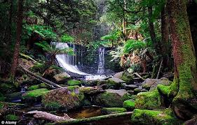 Maybe you would like to learn more about one of these? Apa Manfaat Dan Fungsi Hutan Hujan Tropis