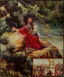 What Does The Bible Say About Locusts