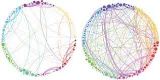 science graphic of the week how magic mushrooms rearrange