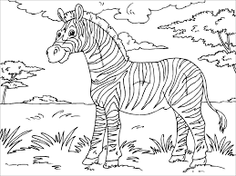 Search through 623,989 free printable colorings at getcolorings. Free Printable Zebra Coloring Page Picture Coloringbay