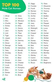 Read about 10 cats who made history at howstuffworks. Most Popular Male Cat Names 2020 Hno At