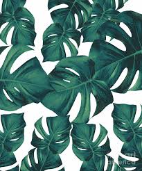 Now the pattern is saved in the buffer of your ai. Monstera Leaves Pattern 3 Tropical Decor Art Mixed Media By Anitas And Bellas Art