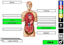 With these 10 sites, you can find free easy crosswords to print, puzzles, and other resources to keep you bus. Science Games Digipuzzle Net