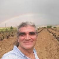 40+ perfiles de «Angel Mingo»