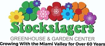 To get the most out of a mum, it's best to prune those buds, pinching them back until the time comes to let the plants develop new leaves, branches, and flowers. Will Your Mums Come Back Next Year It Depends Stockslagers Greenhouse Garden Center