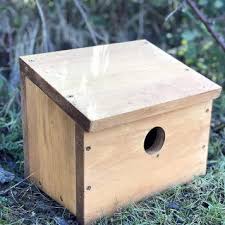 Image result for Flyte Blackbird Nest Box