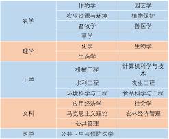 地下交易 - 无码流出 - 罕见片段