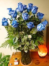 We did not find results for: Hues Of Blue Roses Bouquet In Orlando Fl Edgewood Flowers