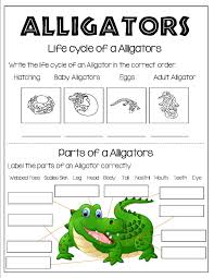 All About Alligators Life Cycles Kindergarten Cycle For Kids Grade 1