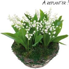 Carte virtuelle 1er mai, fête du muguet gratuite. Bouquet De Muguet Du 1er Mai Livraison En 4 H 123fleurs