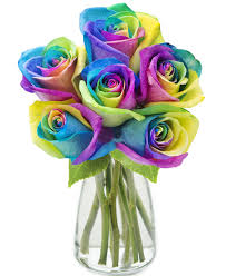 Send flowers and have them delivered today with orders that reach us before 2 pm. Send 6 Ecuadorian Rainbow Roses In Vase To Philippines Delivery Roses To Philippines