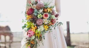 Here are some things to consider when choosing a flowering tree for your yard: In Bloom Proteas Nouba Com Au In Bloom Proteas