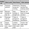 2 jarlokat catu tidak langsung. 1